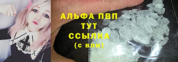 эйфоретик Аркадак