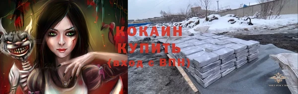тгк Пересвет