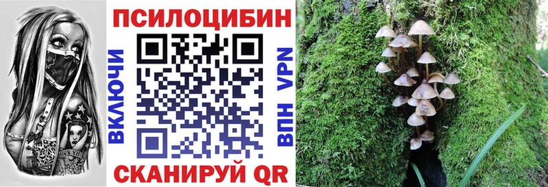 это телеграм  Рошаль  Галлюциногенные грибы Magic Shrooms  как найти  